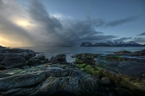 Comment organiser une croisière pour explorer les circuits vinicoles en Argentine?